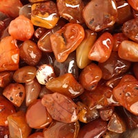 a close up of a pile of orange and brown stones